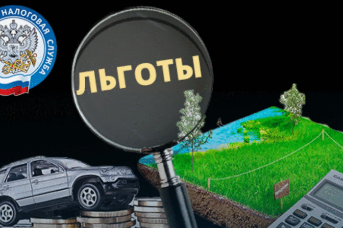 Льготы по транспортному налогу в 2025 году: кто освобождён и как оформить